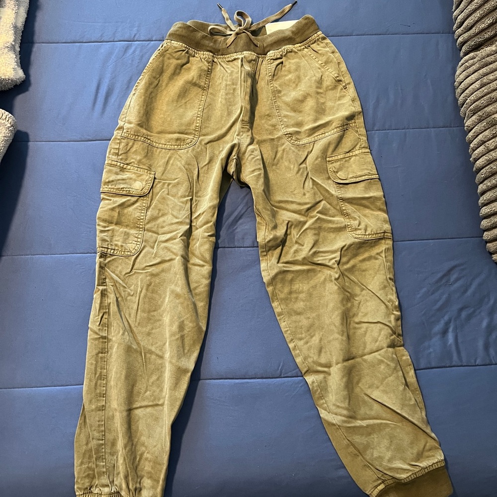 American Eagle Joggers